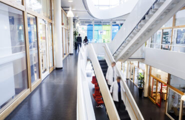 Eco-friendly cleaning products for office management